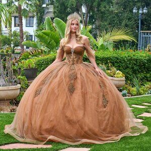 New Off The Shoulder Quinceanera Mesh Gown w/ Glitter & Jewel Embroidery GL3502